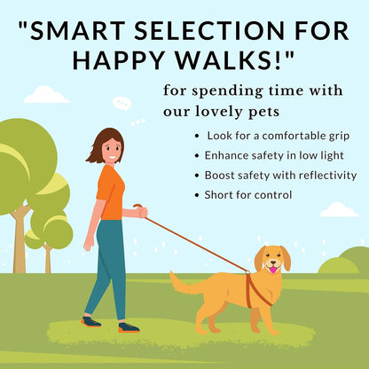 Bungee Dog Leash for Shock Absorption - Khaki