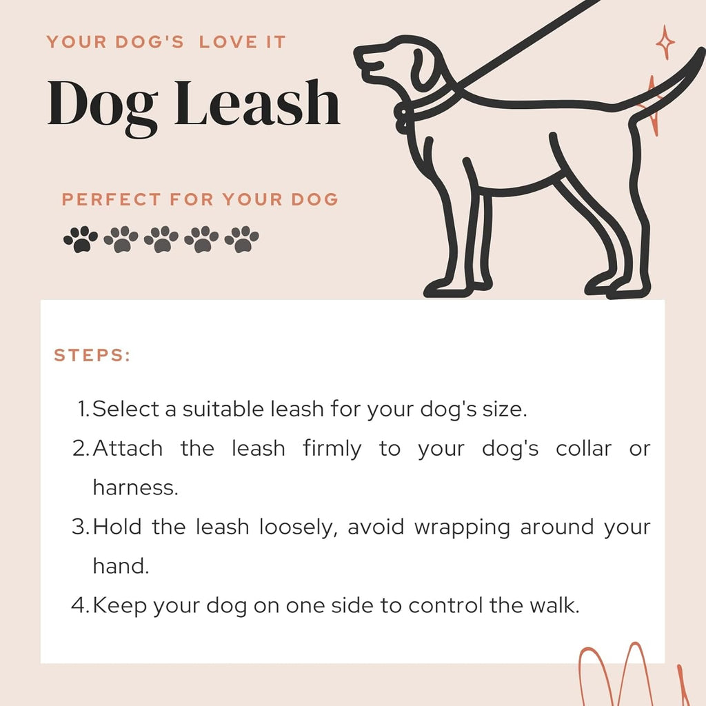 Durable Nylon Dog Training Leash