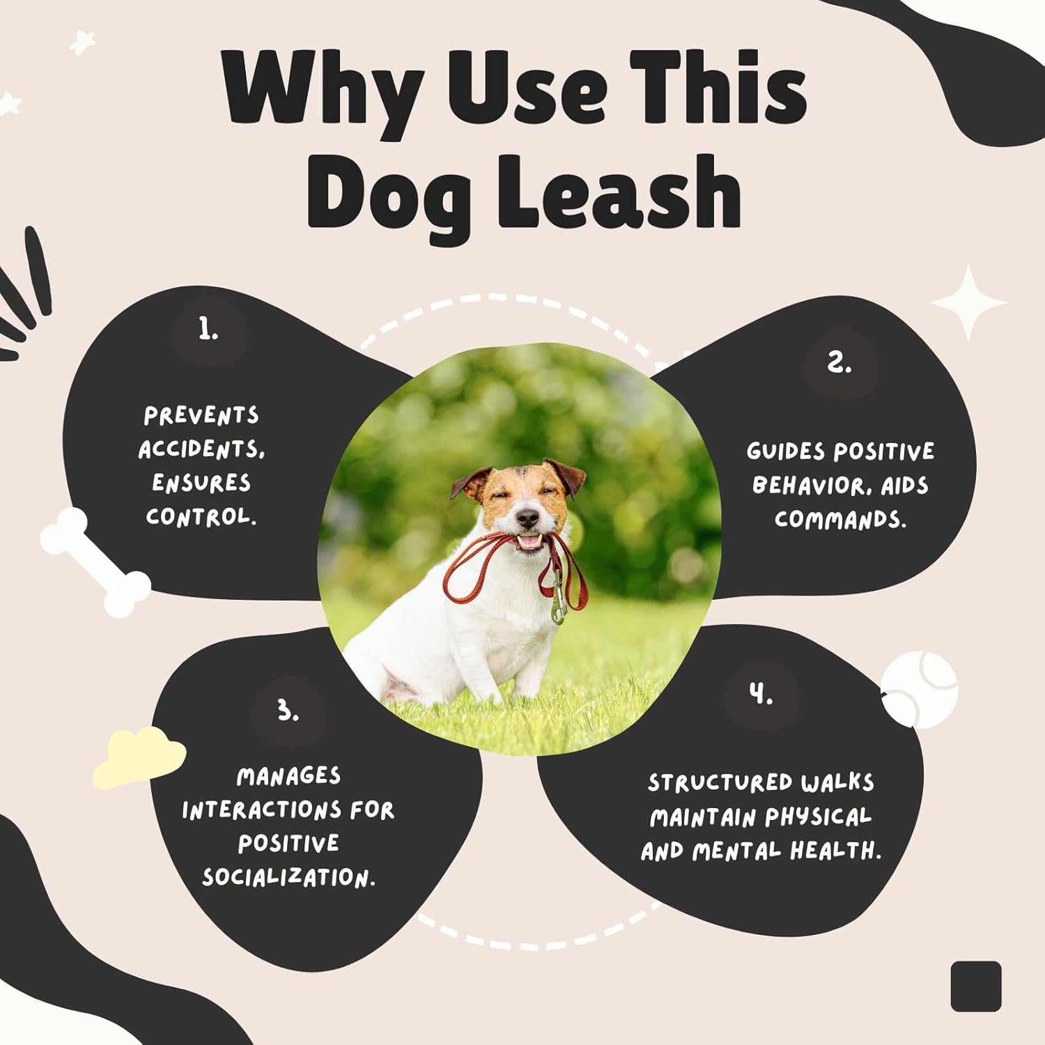 Durable Nylon Dog Training Leash