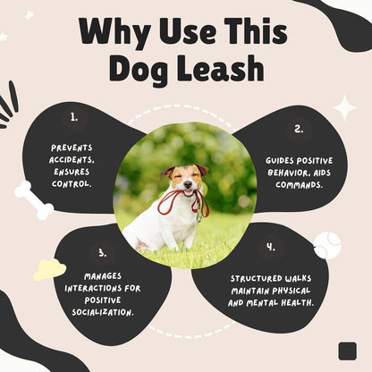 Durable Nylon Dog Training Leash