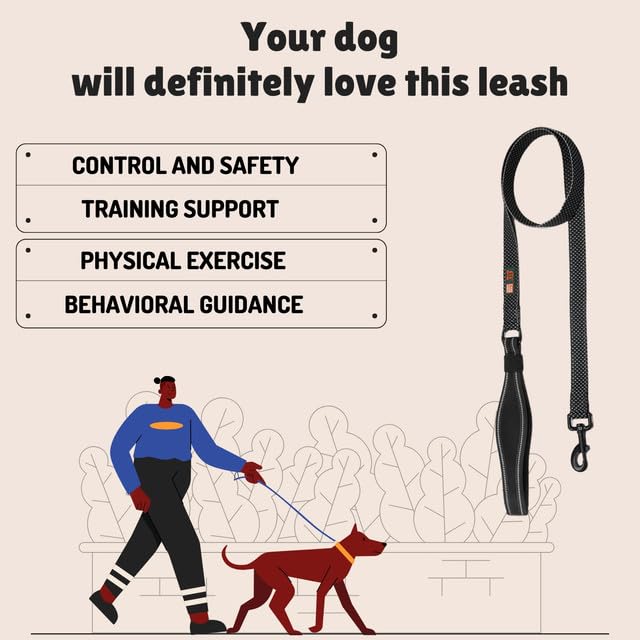 Durable Nylon Dog Training Leash