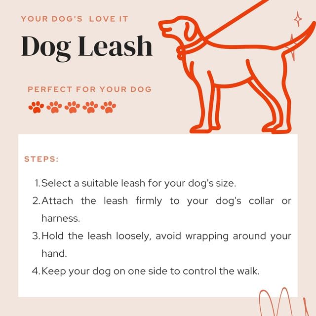 Durable Nylon Dog Training Leash