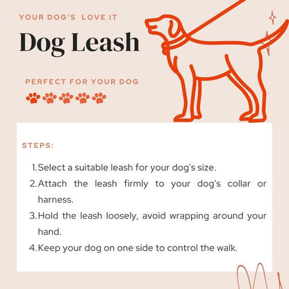 Durable Nylon Dog Training Leash