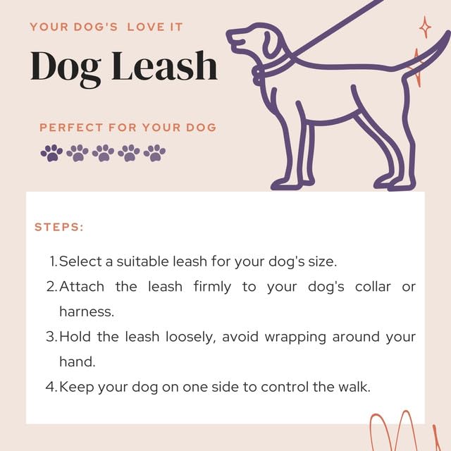 Durable Nylon Dog Training Leash