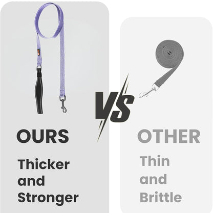 Durable Nylon Dog Training Leash