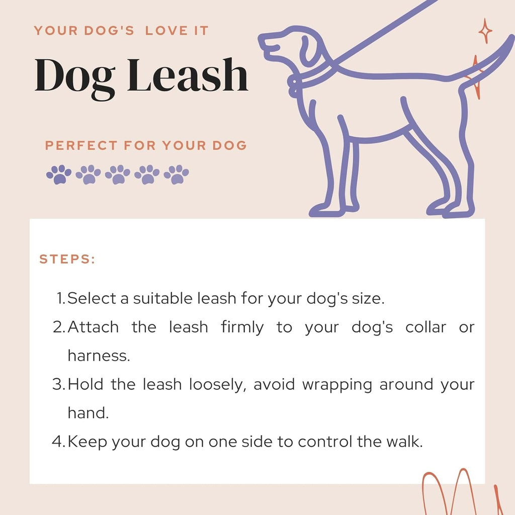 Durable Nylon Dog Training Leash