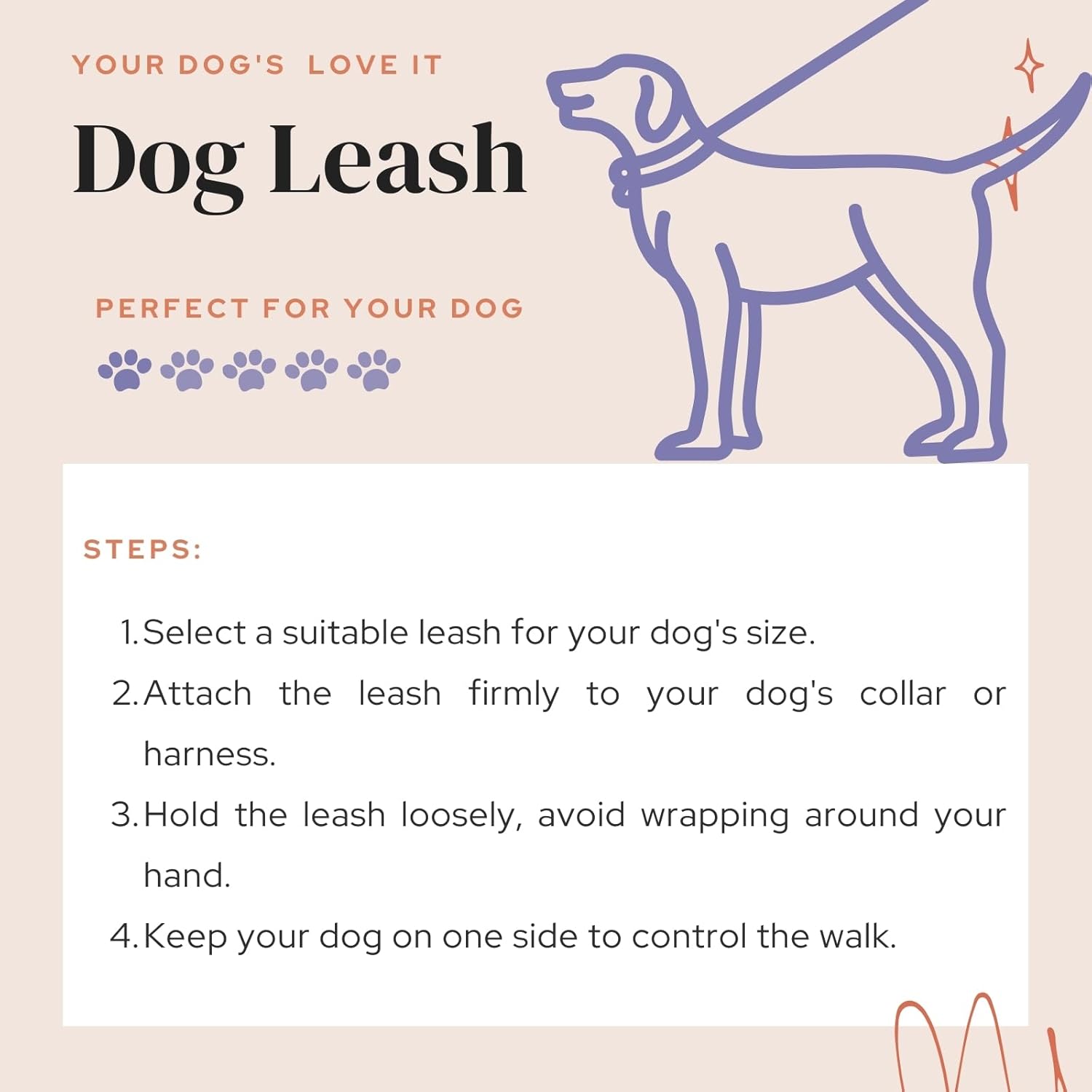 Durable Nylon Dog Training Leash