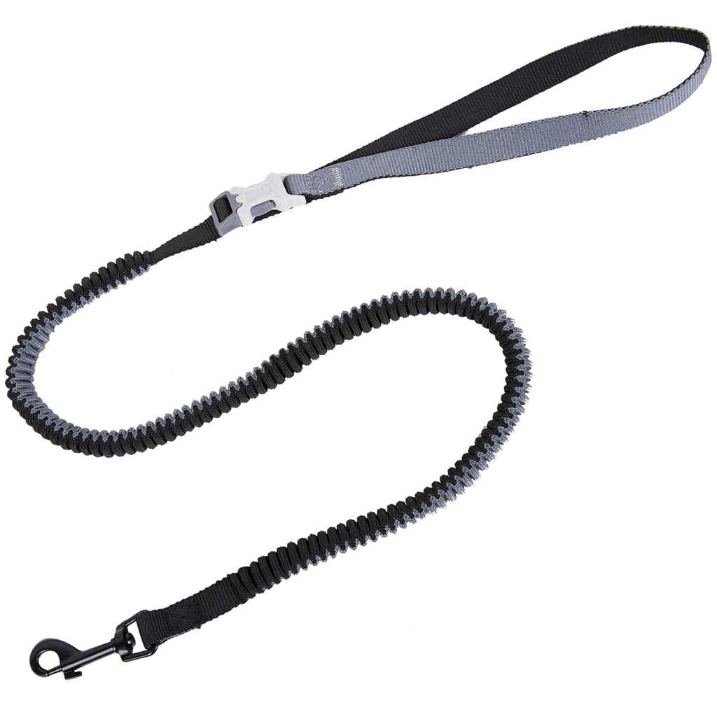 Adjustable Hands-Free Dog Leash