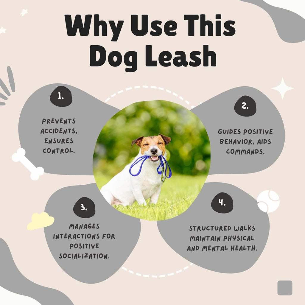 Adjustable Hands-Free Dog Leash