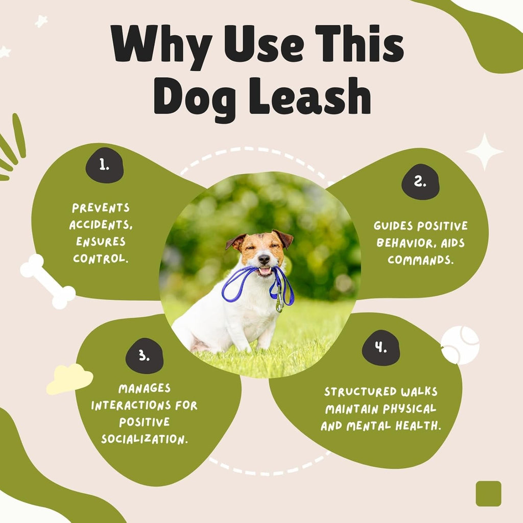 Adjustable Hands-Free Dog Leash