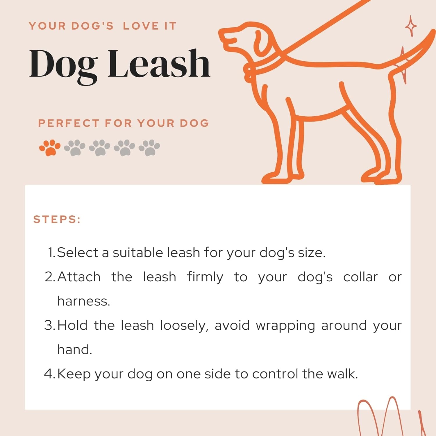 Adjustable Hands-Free Dog Leash