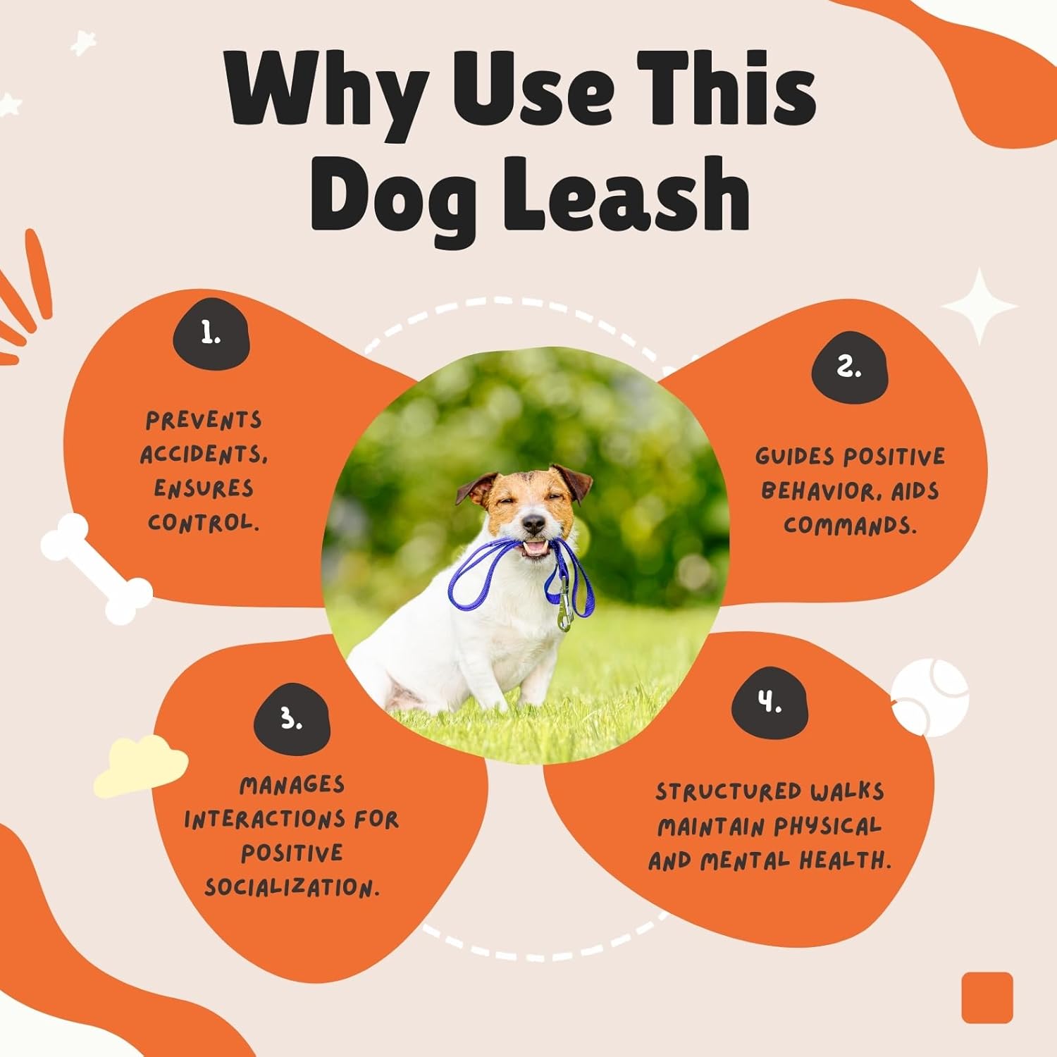 Adjustable Hands-Free Dog Leash