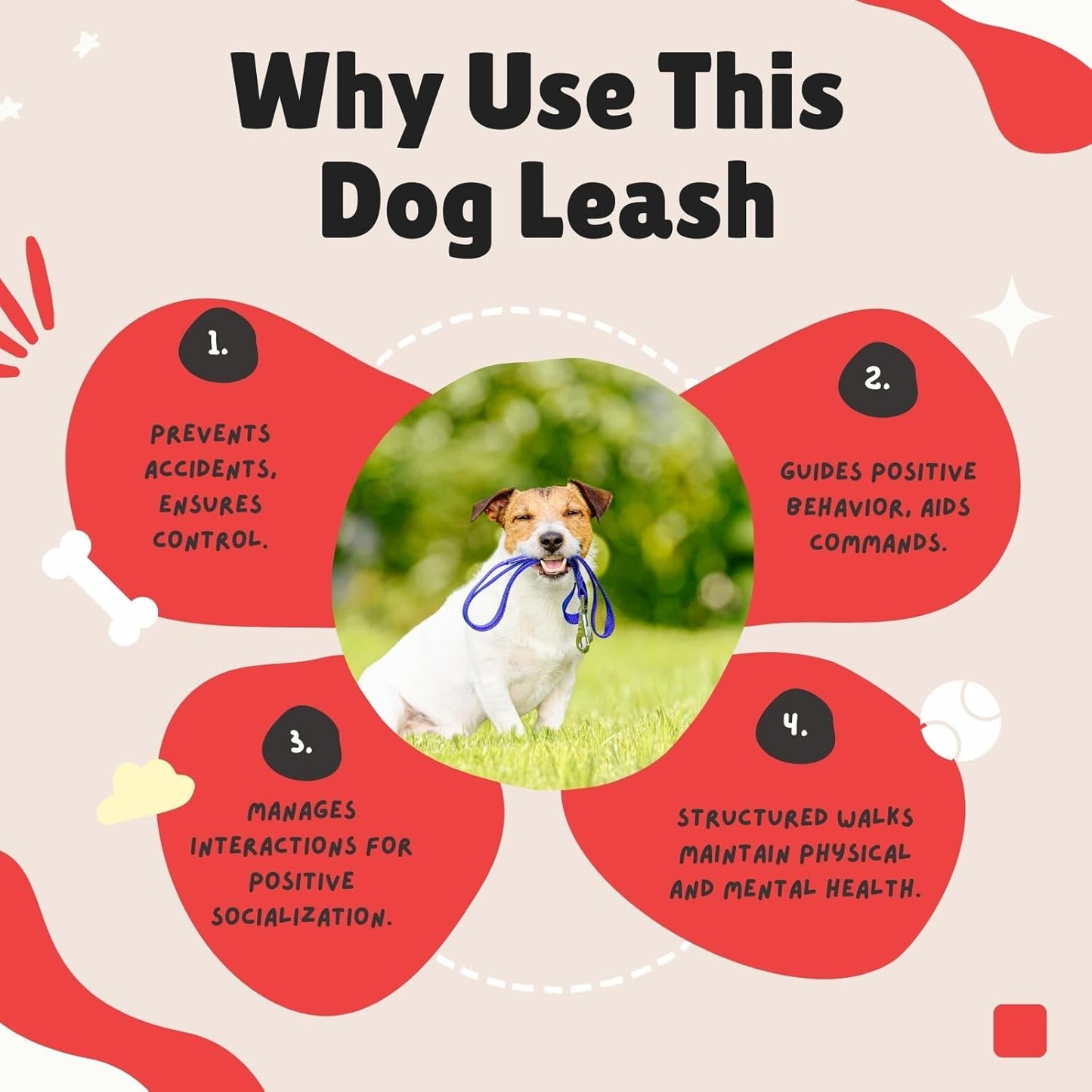 Adjustable Hands-Free Dog Leash