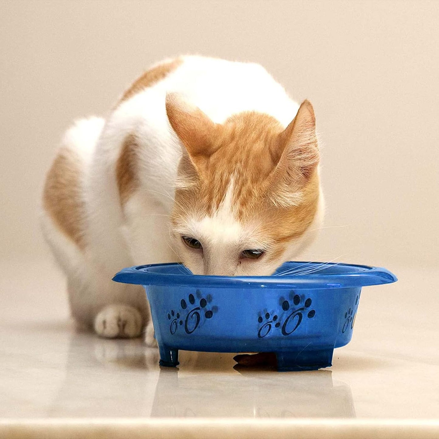 Pet Feeder Bowls with Non-Skid Bottom (Oval, Blue, Small)