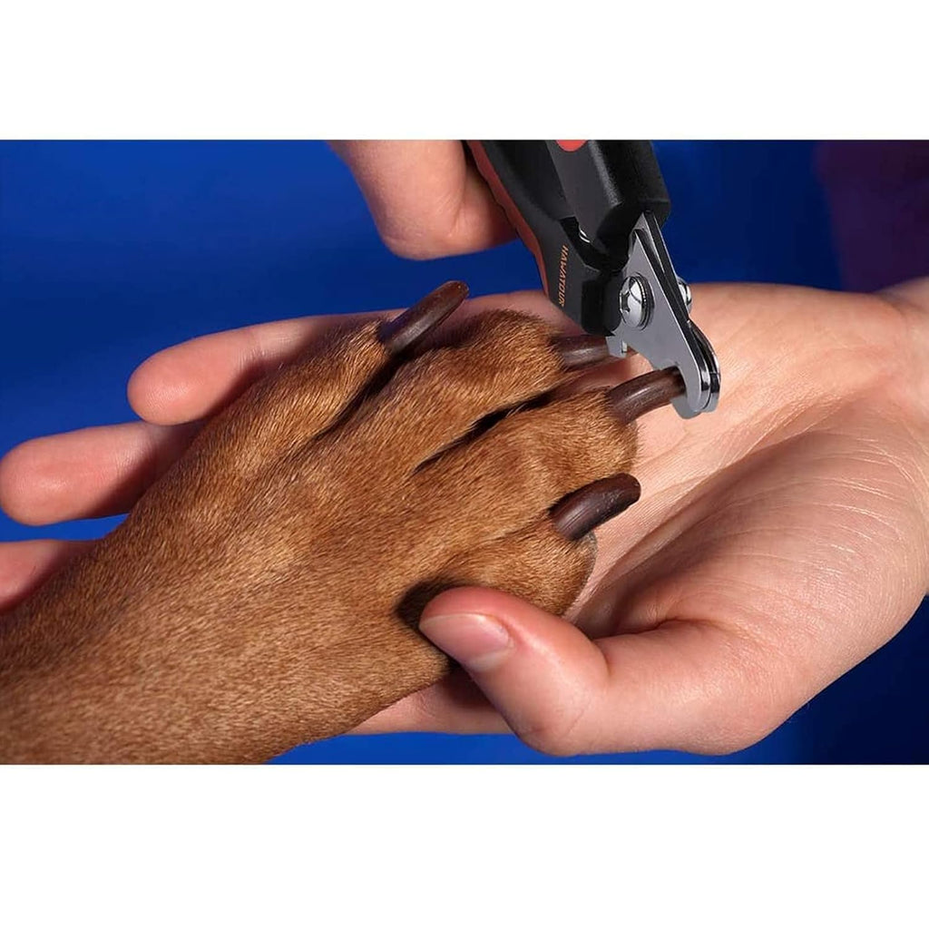Professional Pet Nail Clipper