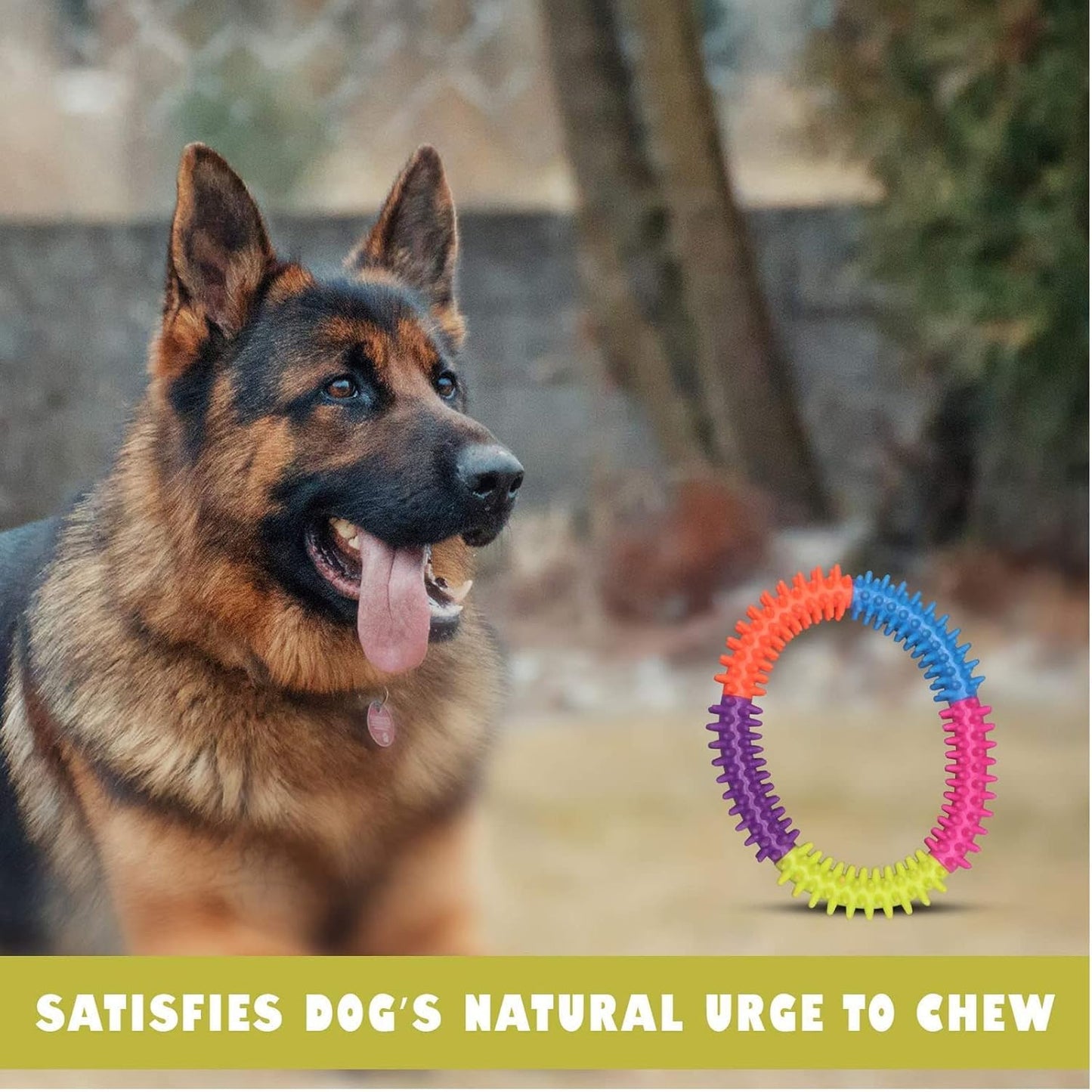 Rubber Anti-Stress Dog Ring Toy