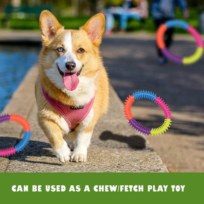 Rubber Anti-Stress Dog Ring Toy