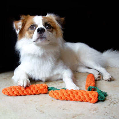 Natural Carrot Rope Dog Toy