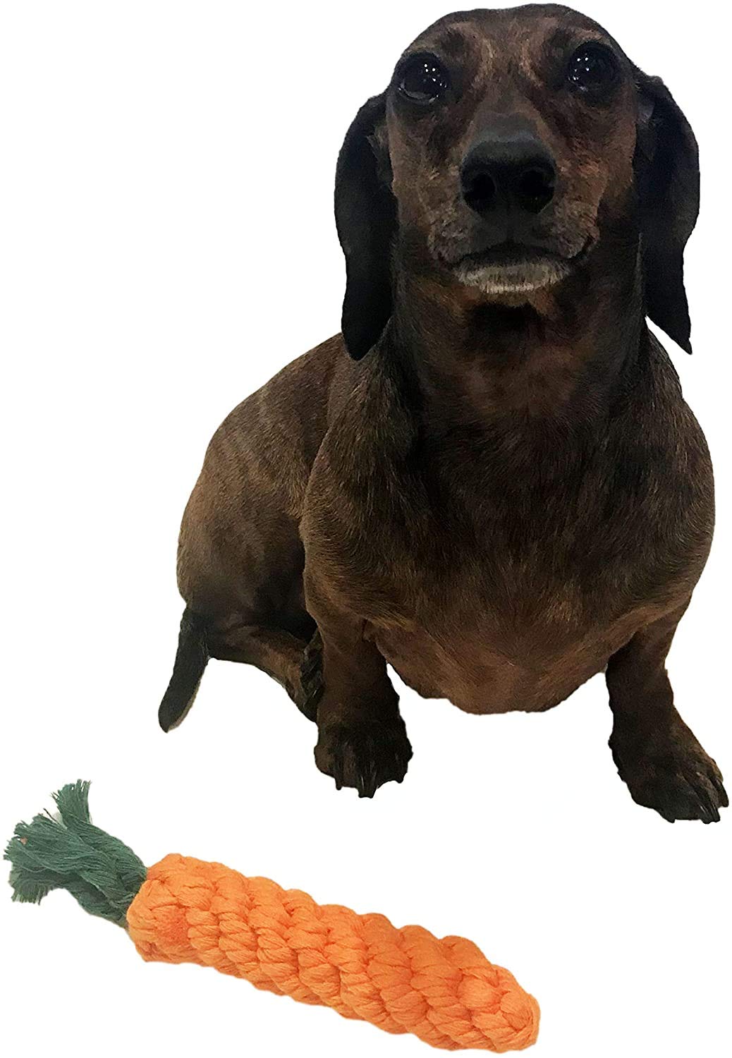 Natural Carrot Rope Dog Toy