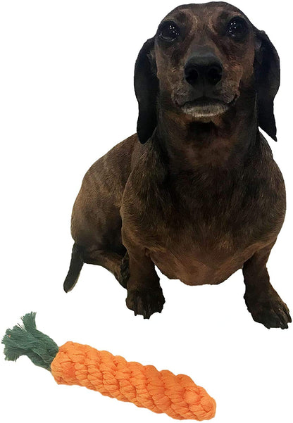 Natural Carrot Rope Dog Toy