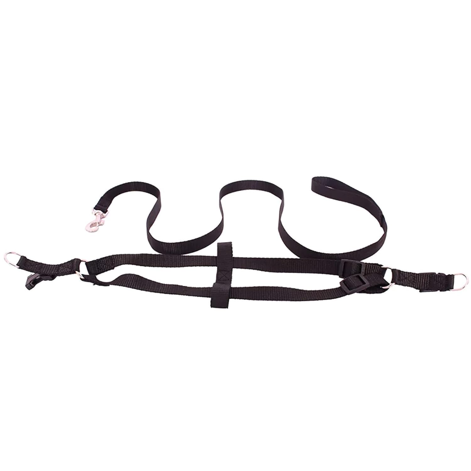 Adjustable Collar Leash Set, Nylon