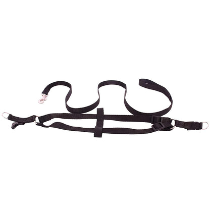 Adjustable Collar Leash Set, Nylon
