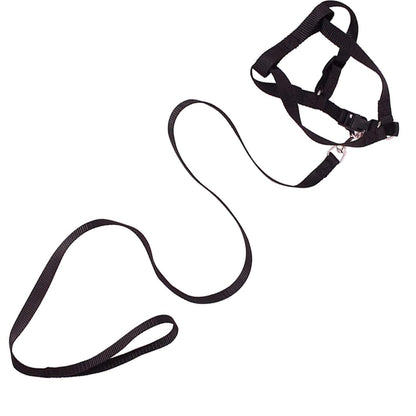 Adjustable Collar Leash Set, Nylon