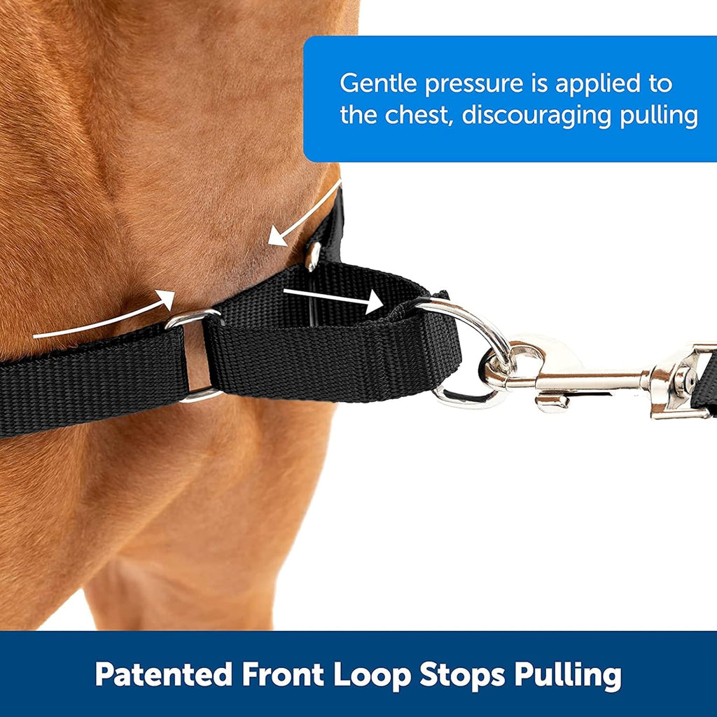 Adjustable Collar Leash Set, Nylon
