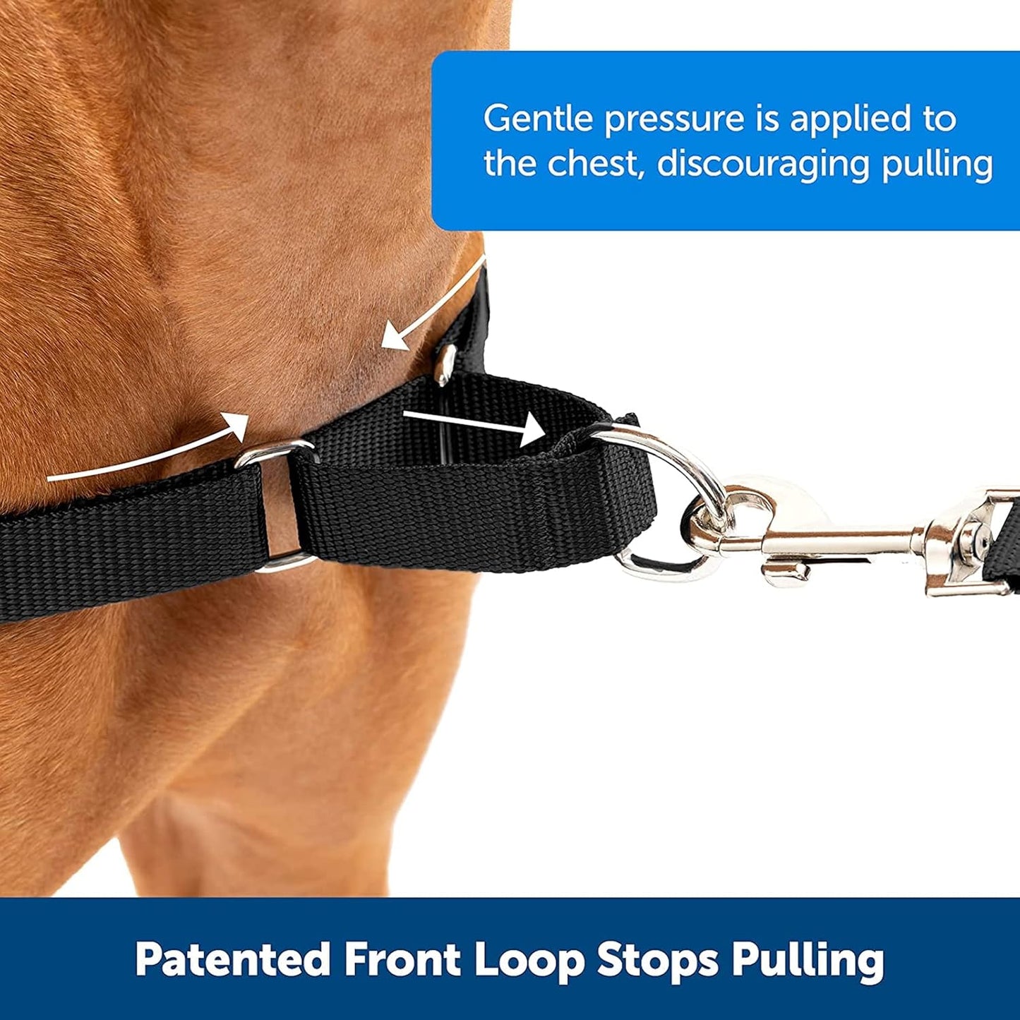 Adjustable Collar Leash Set, Nylon
