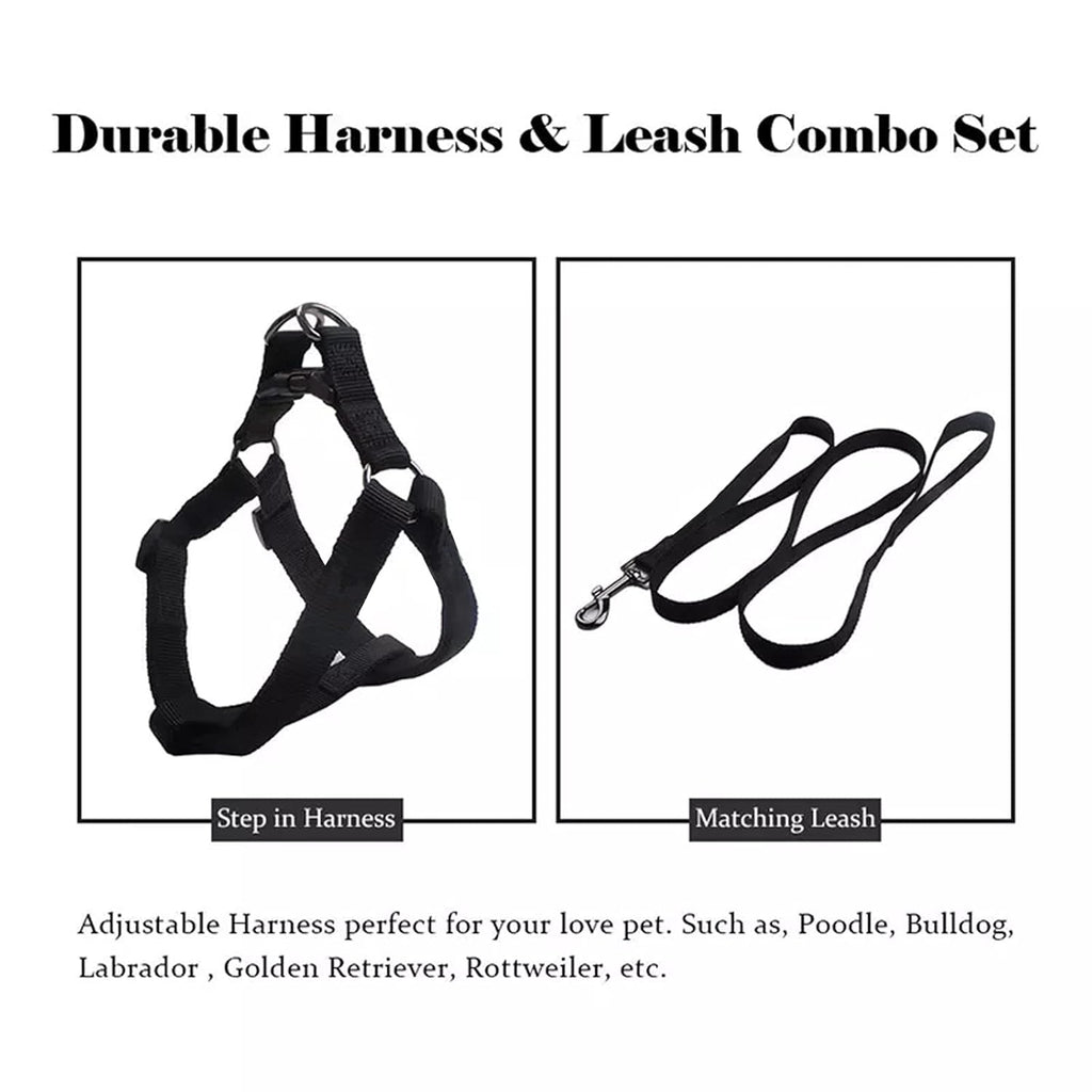 Adjustable Collar Leash Set, Nylon