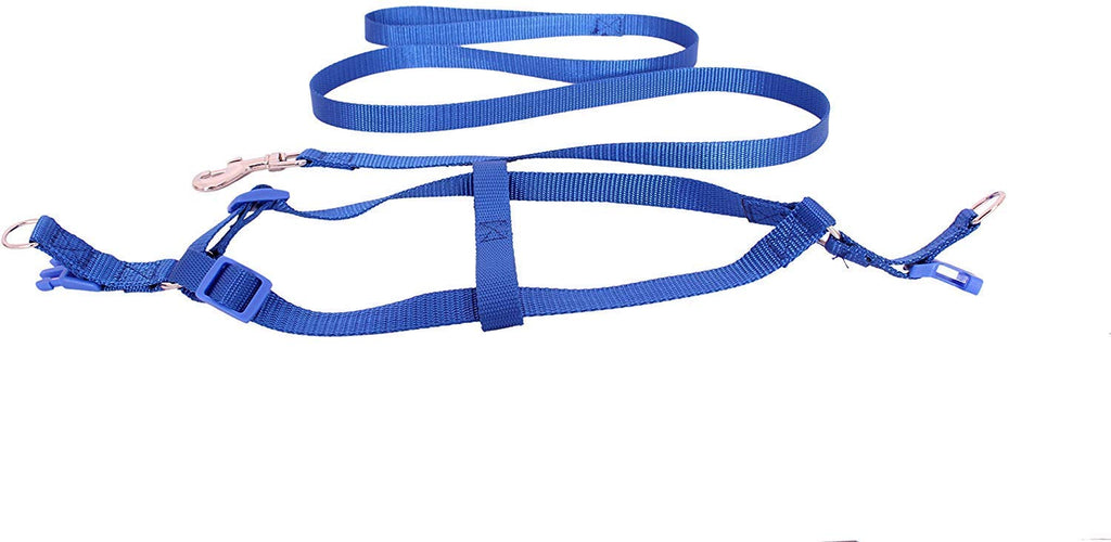Adjustable Collar Leash Set