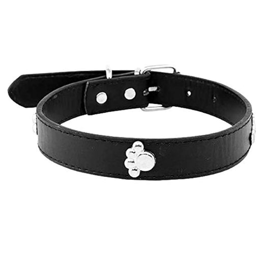 Adjustable Dog Collar with Metal Studs, Black