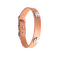 TPR Rubber Pet Collar Leash