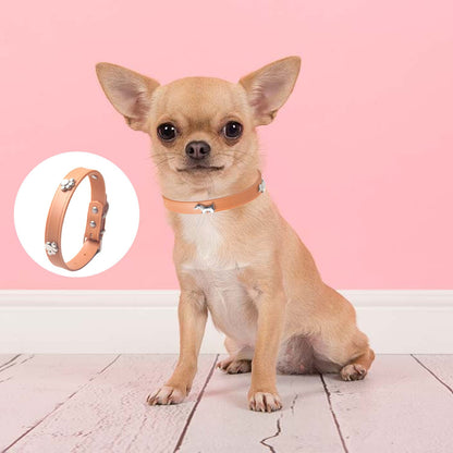 TPR Rubber Pet Collar Leash