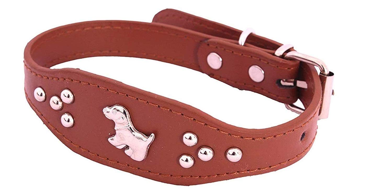 Adjustable Dog Collar with Metal Studs