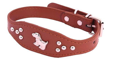 Adjustable Dog Collar with Metal Studs