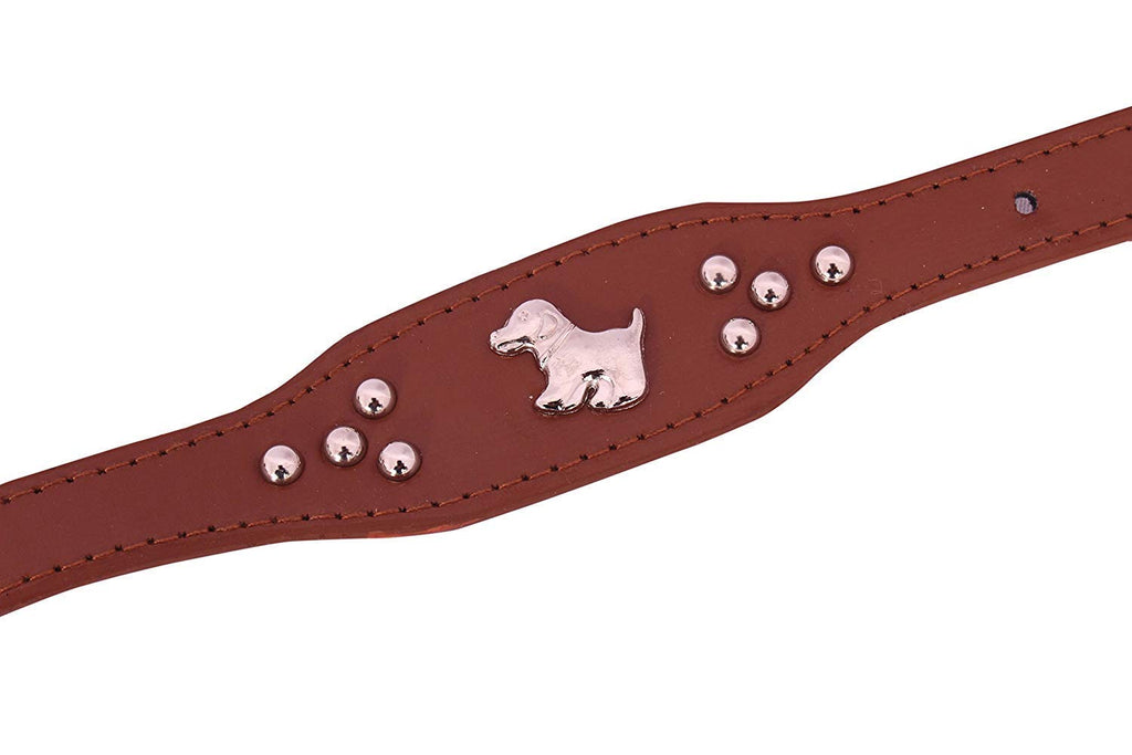 Adjustable Dog Collar with Metal Studs