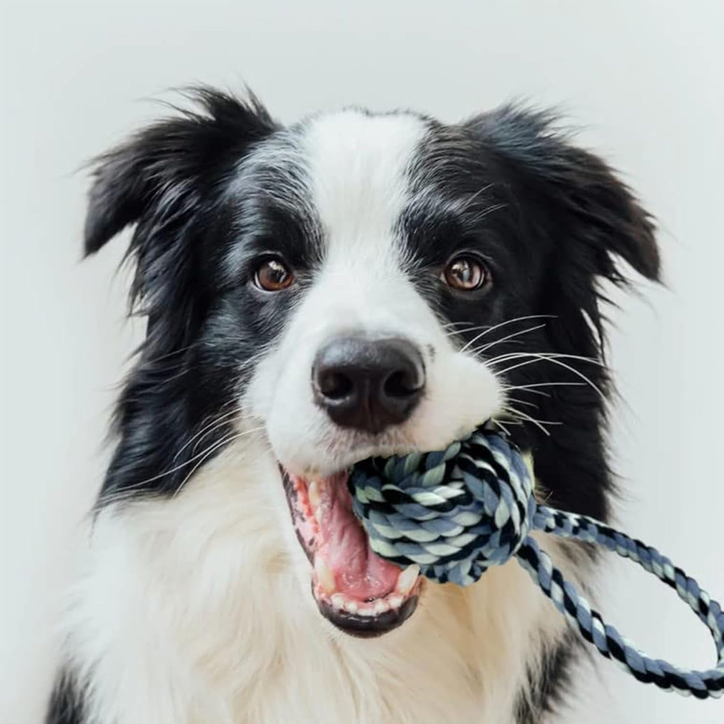 Dog Tug Rope Toy with Ball