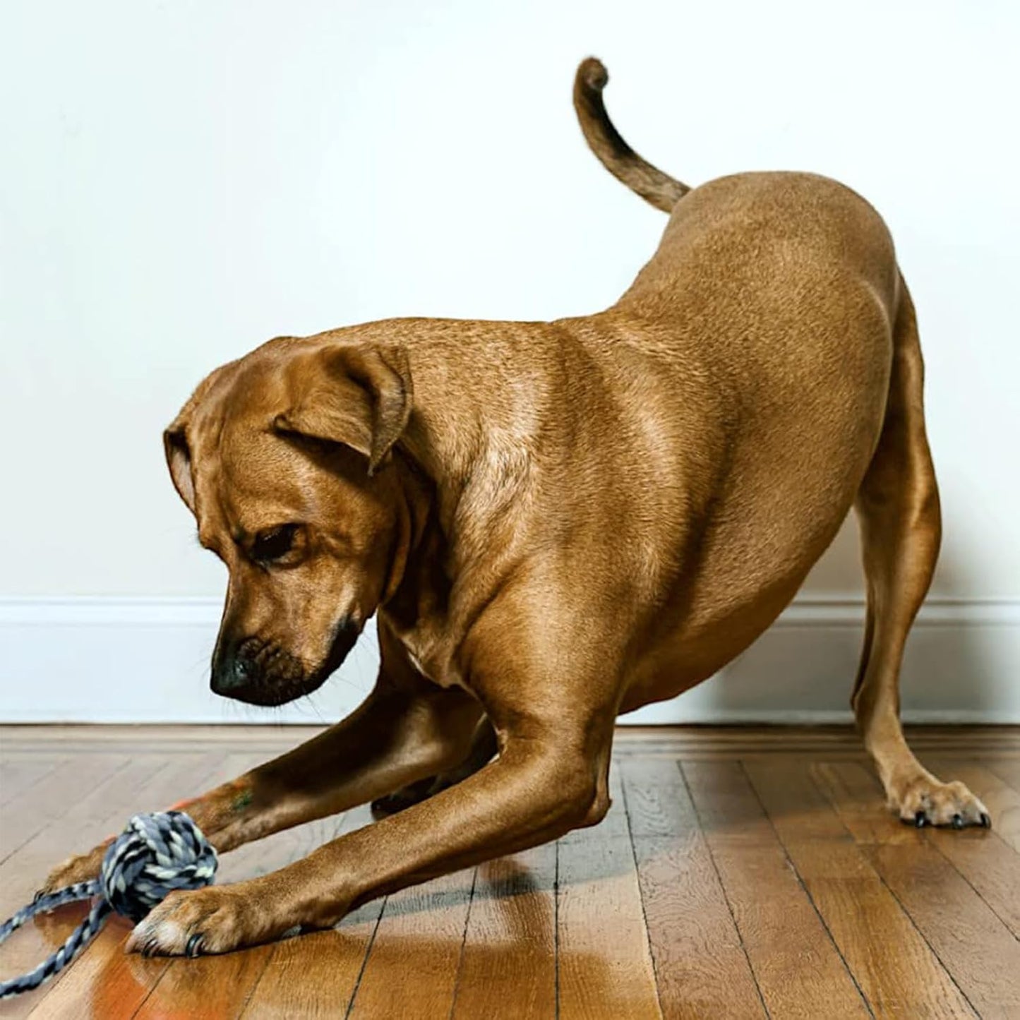 Dog Tug Rope Toy with Ball