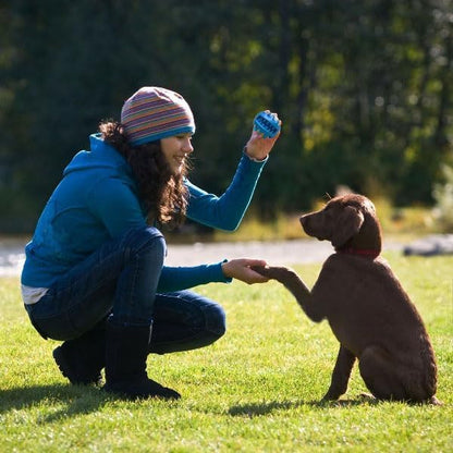 Dog Toy Chew Ball for Aggressive Chewers
