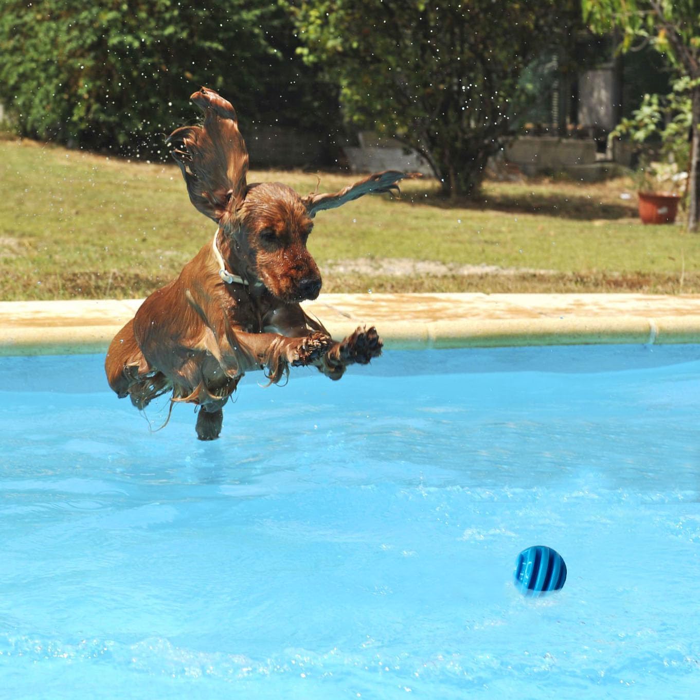 Dog Toy Chew Ball for Aggressive Chewers