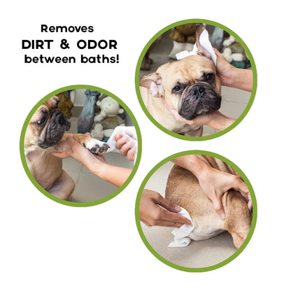 Pets Biodegradable Pet Wipes