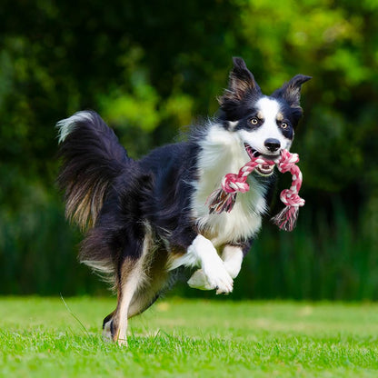 Braided Cotton Dog Rope Toy