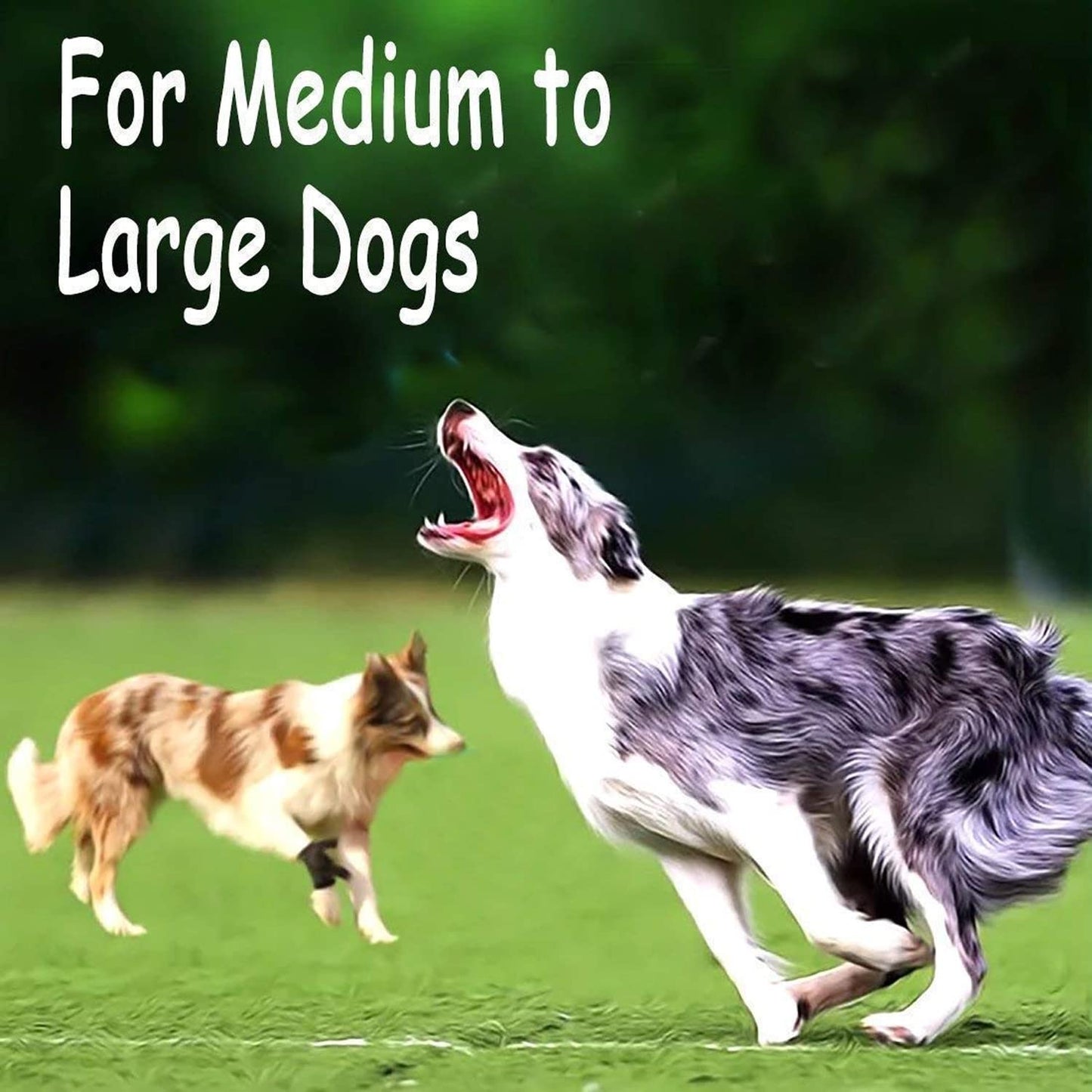 Heavy Duty Dog Rope Tug Toy