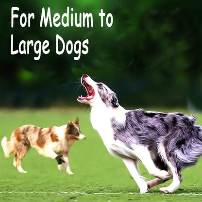 Heavy Duty Dog Rope Tug Toy