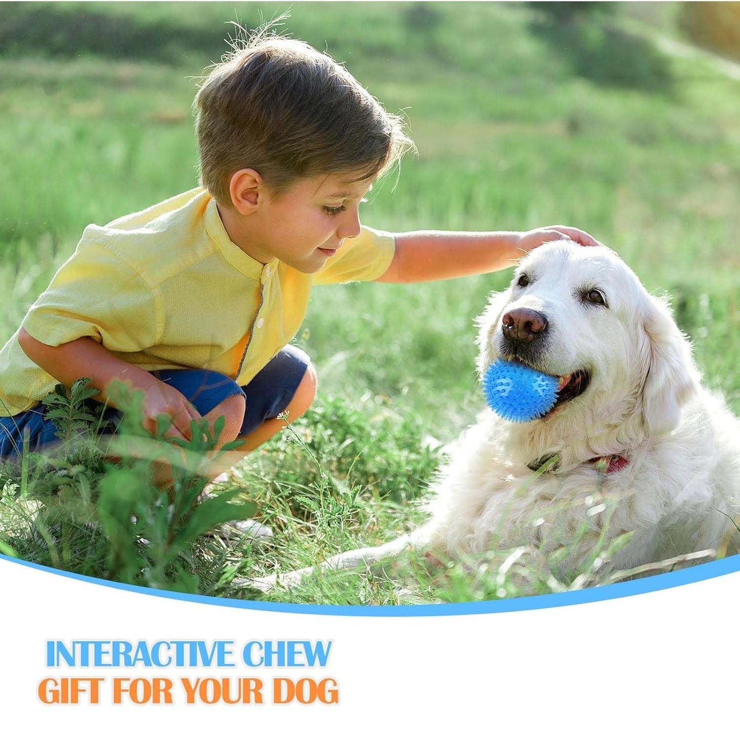 Durable Spike Squeaky Dog Toy