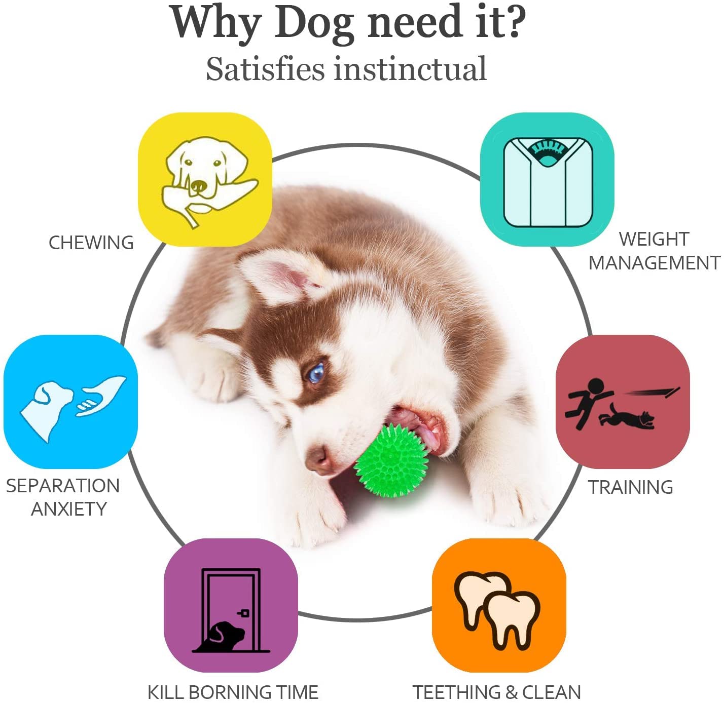 Durable Spike Squeaky Dog Toy