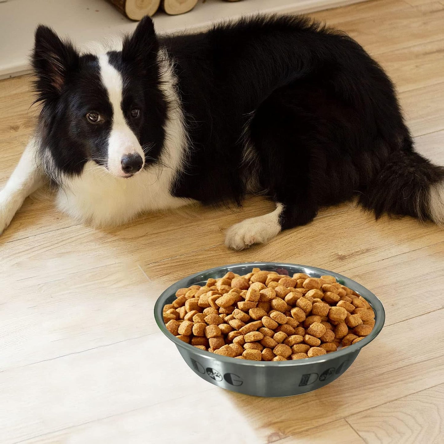 Stainless Steel Anti-Skid Dog Bowl