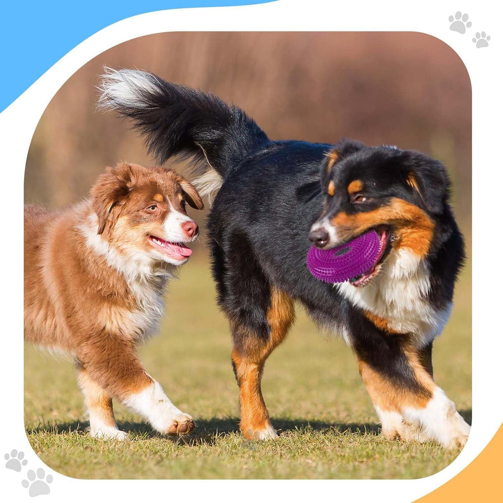 Dog Spike Squeaky Ring Chew Toy