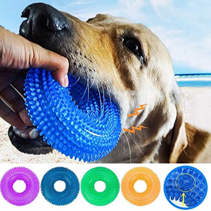Dog Spike Squeaky Ring Chew Toy